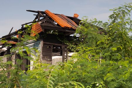 wood burnの写真素材