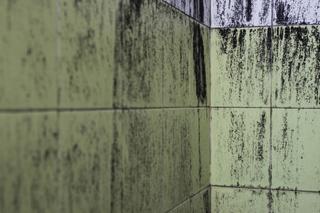 dirty bathroom after burnの写真素材