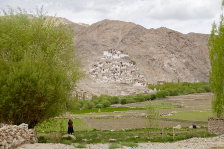 view of Chemday gonpa, monastery, Ladakh, India