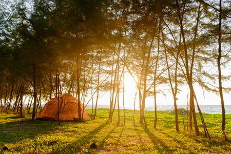 camping at Bulone beach, satun province, Thailandの写真素材