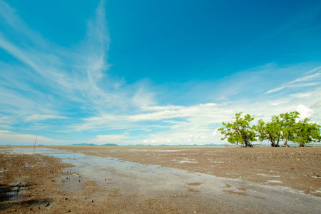 background of ebb tide, Thailandの写真素材