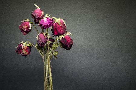 rose wither , failing in loveの写真素材