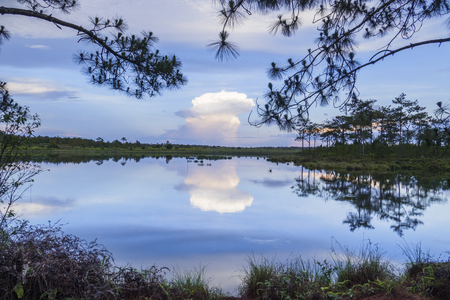 reservoir on the top of Phu Kradueng National Park  1200 msl, Loei province, Thailandの写真素材