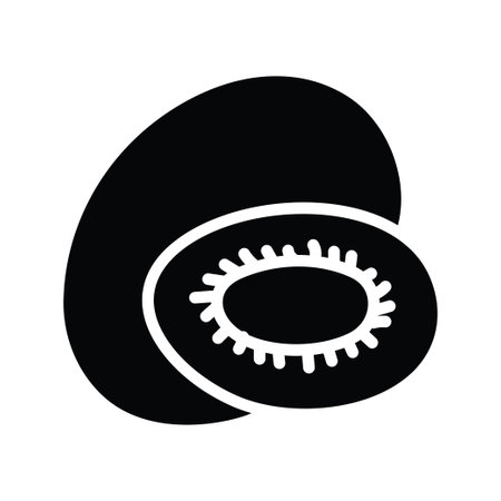 Kiwi vector solid Icon Design illustration. Food and Drinks Symbol on White background EPS 10 Fileのイラスト素材
