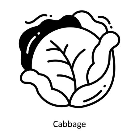 Cabbage doodle semi solid icon Icon Design illustration. Food and Drinks Symbol on White background EPS 10 Fileのイラスト素材
