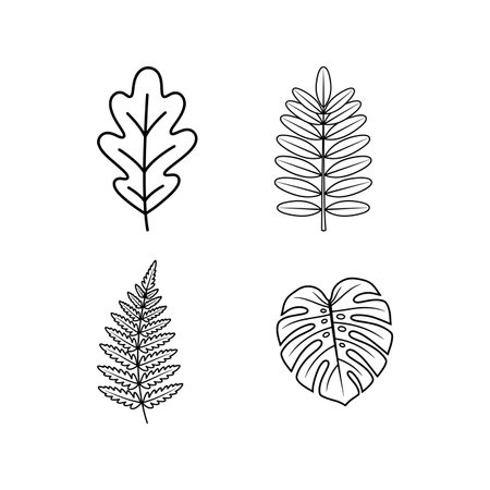 a set of leaf outlines including oak, fern, monstera, and acacia leaf designs in a vector illustrationのイラスト素材