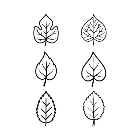 a collection of vector illustrations of different leaf shapes in a simple black and white outline styleのイラスト素材