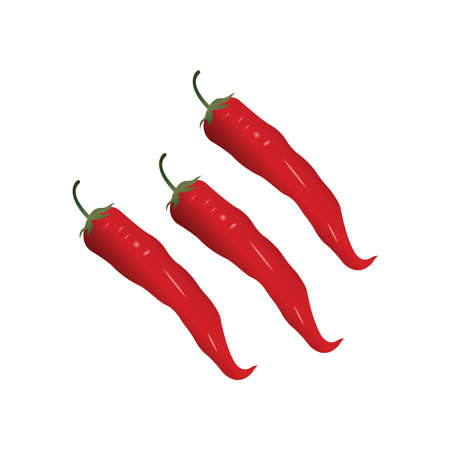 Capsicum chilly chili Chilies or pepper realistic vector illustrationのイラスト素材