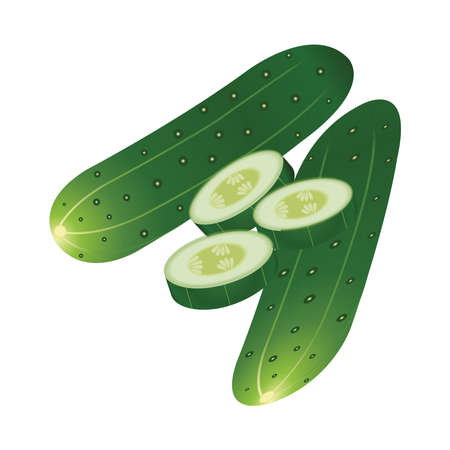 Cucumber realistic vector illustration setのイラスト素材