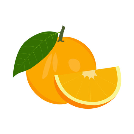 Yellow Orange fruit vector illustrations