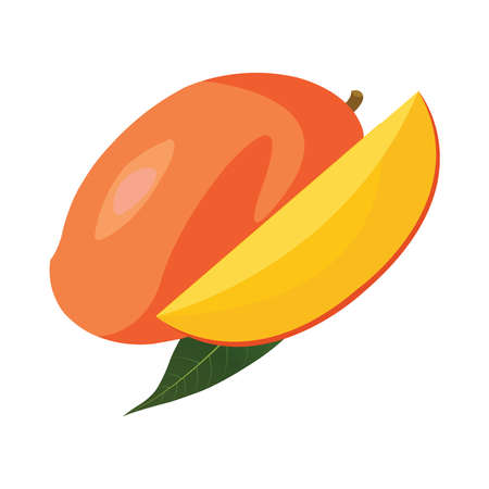 Health and Nutrition Benefits of Mango, mango fruit vector illustrationsのイラスト素材