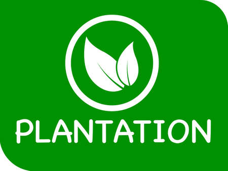 Plantation vector logo or icon, Green background plantation logoのイラスト素材