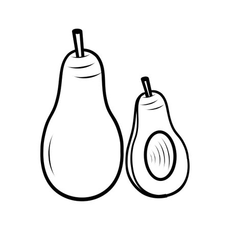 Avocado icon. Outline illustration of avocado vector icon for webのイラスト素材