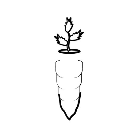 carrot icon on white background. Carrot vector icon. Carrot vector iconのイラスト素材