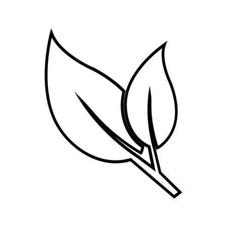 leafs plant ecology isolated icon vector illustration design  black and whiteのイラスト素材