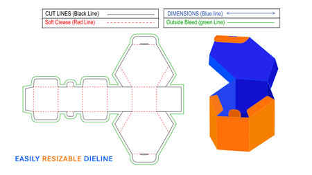Hexagonal box die cut or dieline template and 3D vector box Designのイラスト素材