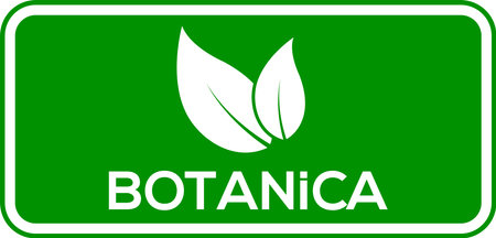 Botanical leaf vector logo or icon, green background Botanical logo vector designのイラスト素材