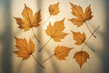 Aerial view of the roof top of a building in Hong Kong.の素材