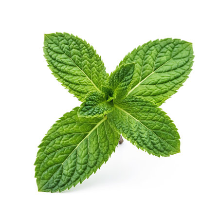 Halloween night scene with neon light in city. 3d renderingの素材