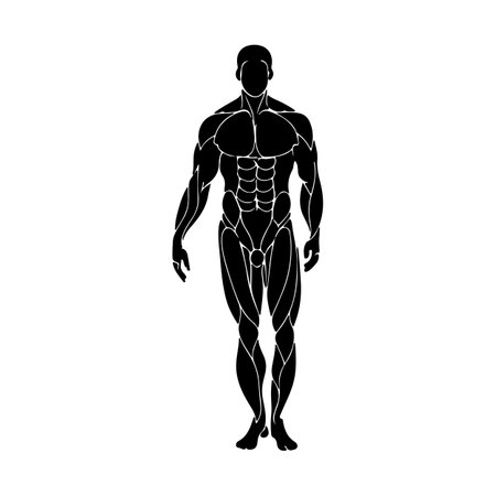 Bodybuilder concept represented by human body icon. Isolated and flat illustrationのイラスト素材