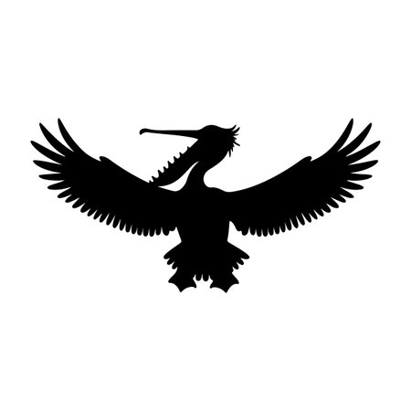 Silhouette of a flying pelican on a white background.のイラスト素材