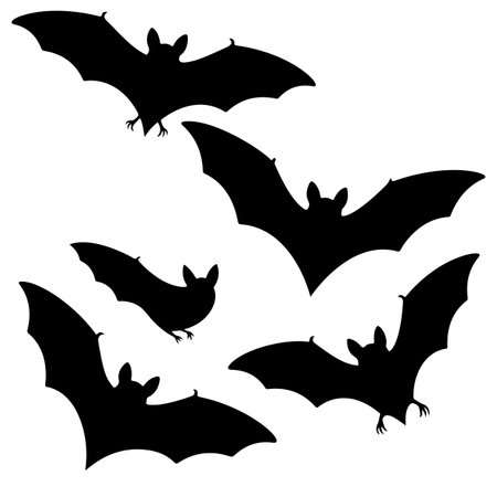 Halloween bats silhouettes isolated on white background. Vector illustration.のイラスト素材