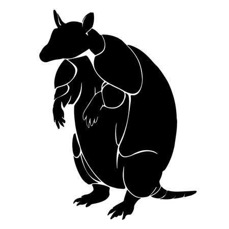 Silhouette of an armadillo isolated on a white backgroundのイラスト素材
