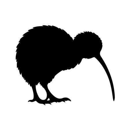 silhouette of kiwi bird on white background. vector illustrationのイラスト素材