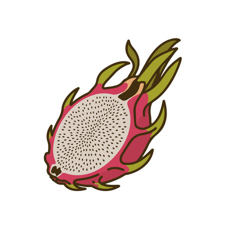 dragon fruit tropical fruit icon vector illustration design graphic flat style. EPS10のイラスト素材