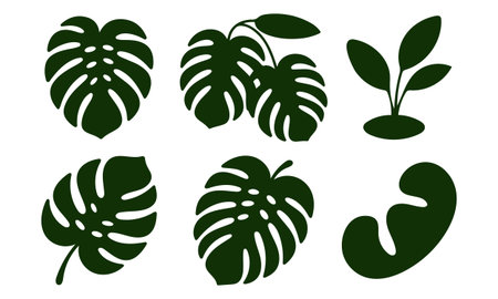 Monstera leaves silhouettes isolated on white background. Vector illustration.のイラスト素材