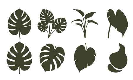 Set of silhouettes of tropical leaves. Vector illustration isolated on white background.のイラスト素材