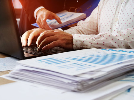 The manager advises the employee working at the computer. Audit and financial reporting.