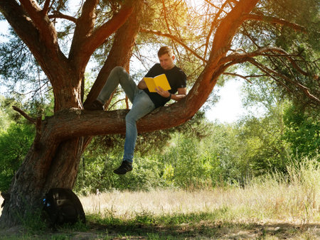 Summer vacation in the forest. The guy in the tree is reading a book.の写真素材