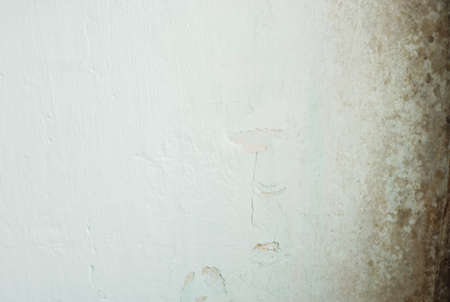 Old white wall with black mold. Background with empty space.の写真素材