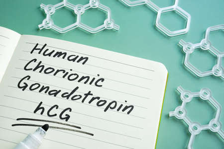 Human Chorionic Gonadotropin hCG written on the page.の写真素材