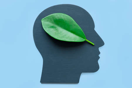 Head shape and green leaf. Environmentalism concept.の写真素材