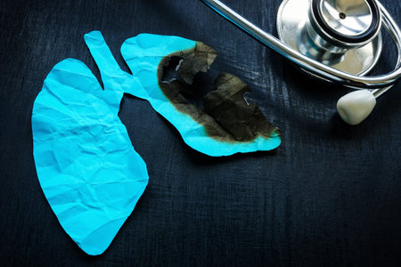 Damaged paper lungs and stethoscope. Respiratory disease concept.の写真素材