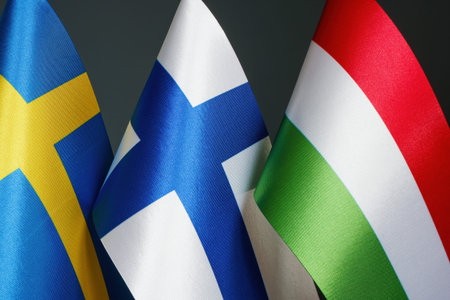 Flags of Finland, Sweden and Hungary as a symbol of negotiations.
