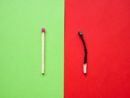 A whole and burnt match as a symbol of mental health.