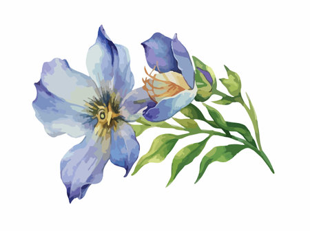 Beautiful watercolor hand drawn illustration of blue freesia flowerのイラスト素材