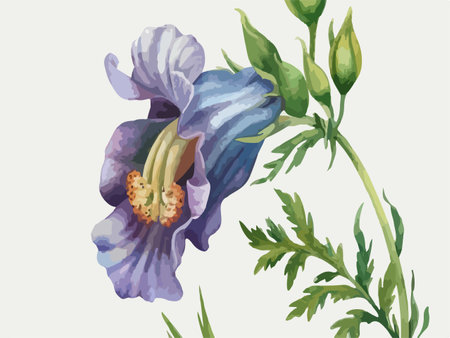 Illustration of blue hibiscus flower in watercolor styleのイラスト素材