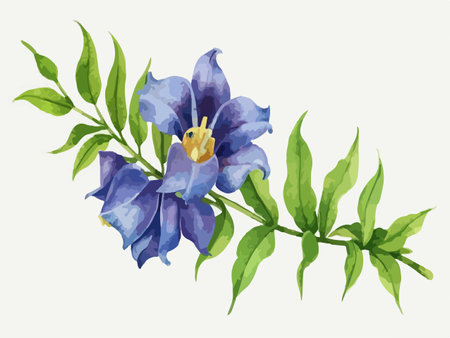 Illustration of blue iris flowers with green leaves on white backgroundのイラスト素材