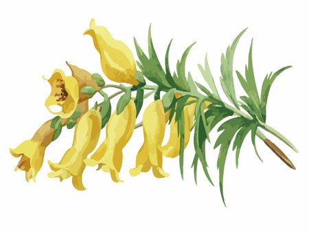 Illustration of yellow flowers on a white background. Vector illustration.のイラスト素材