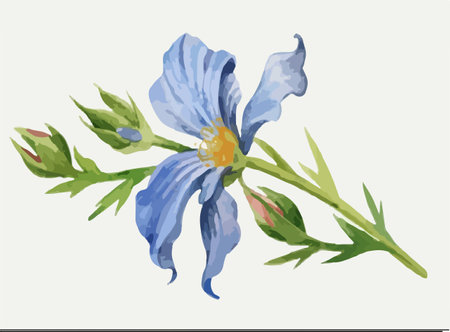 Illustration of a blue flower in watercolor style on white backgroundのイラスト素材