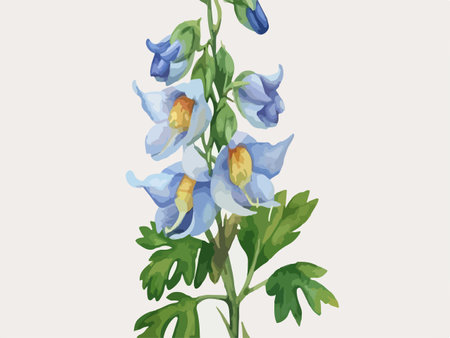 Illustration of blue delphinium on a white background.のイラスト素材