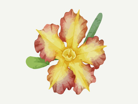 Illustration of yellow and orange orchid flower with green leaves.のイラスト素材