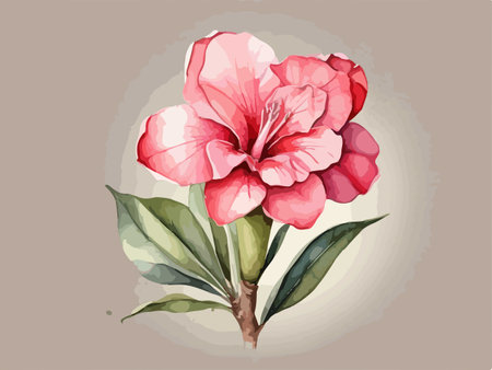 Illustration of a pink hibiscus flower on a gray backgroundのイラスト素材