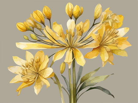 Bouquet of yellow lilies. Hand drawn vector illustration.のイラスト素材