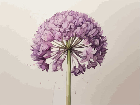 Illustration of a Purple Allium flower on a beige backgroundのイラスト素材