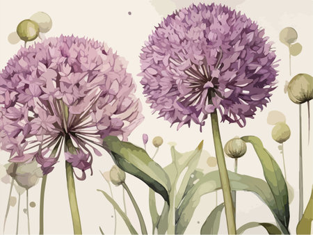 Illustration of a purple allium flowers with watercolor effect.のイラスト素材